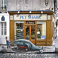 Pet Shark